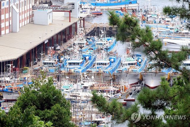 태풍 피해 서귀포항 정박한 어선들