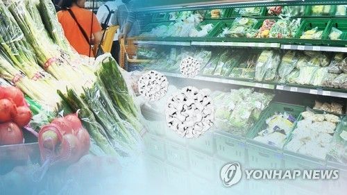 폭염에 채솟값 급등(CG)