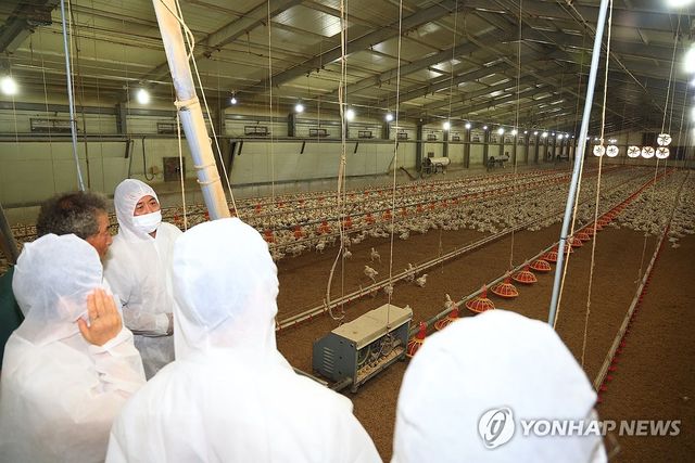 농식품부, 육계농장·시설하우스 폭염 대응 상황 점검