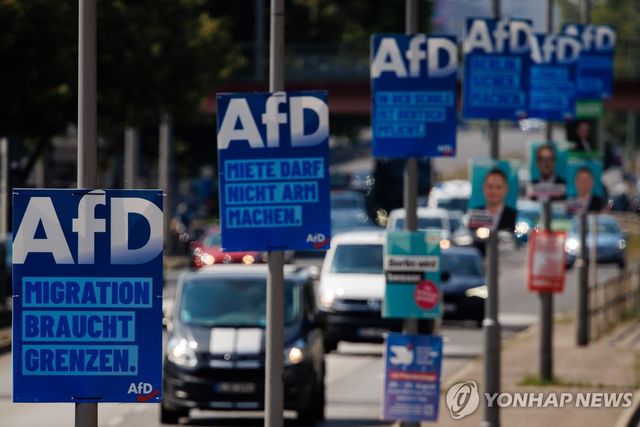 AfD 선거 포스터