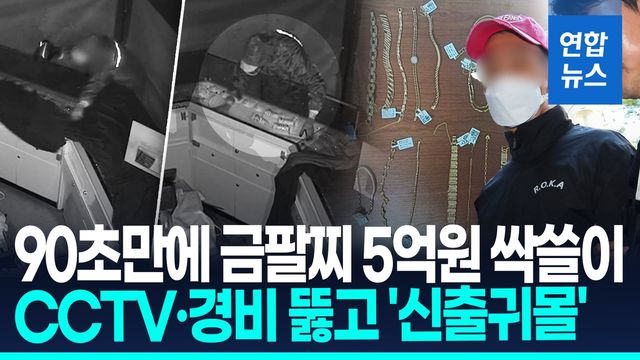 [영상] CCTV·사설경비도 뚫었다…1분30초만에 5억대 귀금속 '싹쓸이' - 2