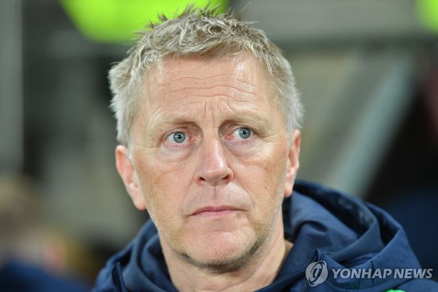 할그림손 아일랜드 대표팀 감독