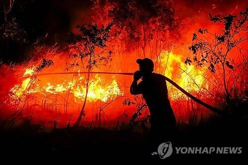 인도네시아 산불