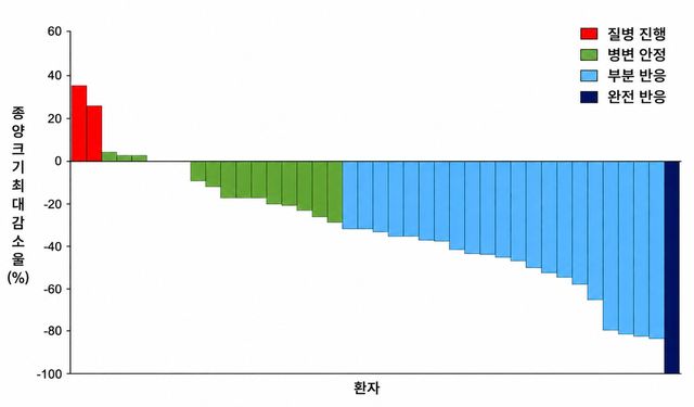 환자들이 보인 종양 크기 최대감소율
