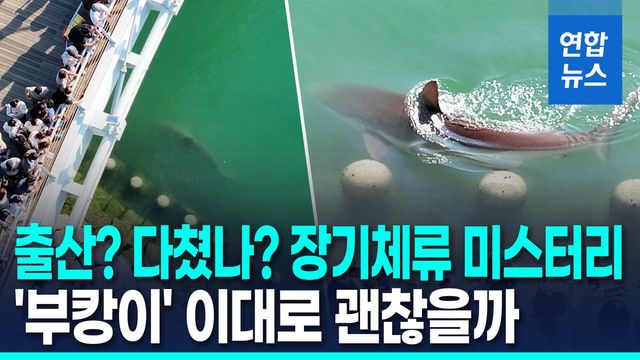 [영상] '부캉이' 장기체류 조짐…연휴에도 탈출 못하면? 이대로 괜찮나 - 2