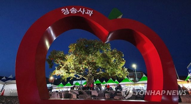 청송사과축제 