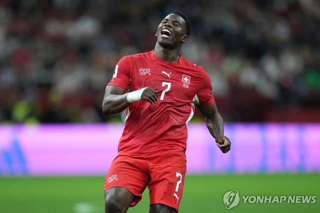 스위스 축구대표 엠볼로.