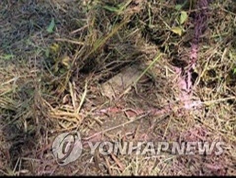 합참, 북한 수지 반보병지뢰 추가 사진 공개