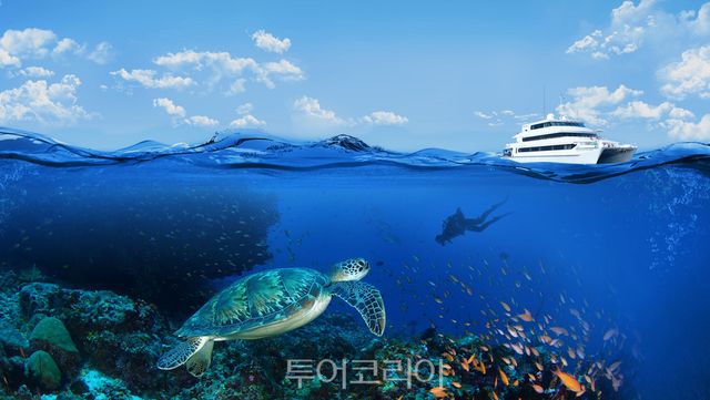 포시즌스 리조트 몰디브