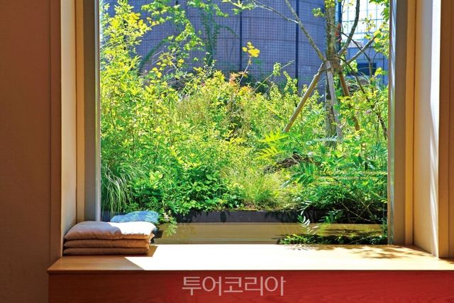 동그라미쉼터에서 본 원형정원 달뿌리