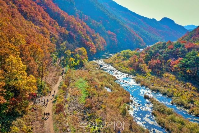 영동 월류봉 둘레길