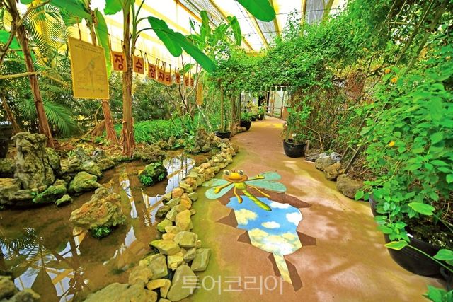 우포잠자리나라 온실