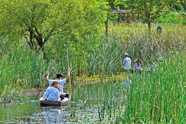우포늪생태체험장_쪽배타기체험을 하는 가족들