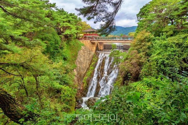 시원하게 흐르는 의림지의 용추폭포
