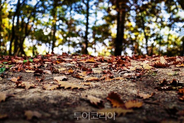 역사생태탐방로 동학의길