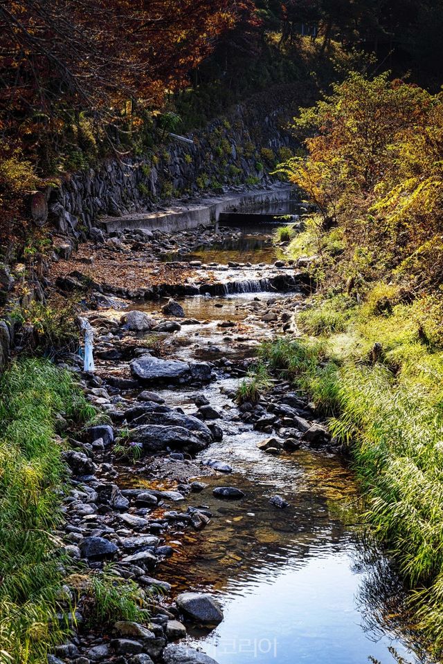 역사생태탐방로 동학의길