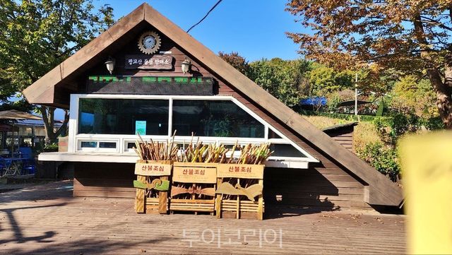 폐목재 활용해 만든 등산객 위한 지팡이