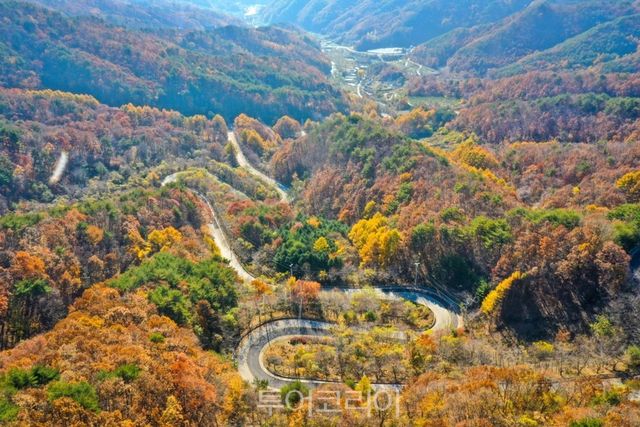 영동군 도마령 가을