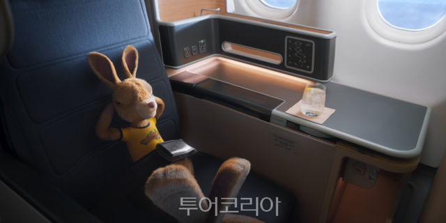 콴타스항공 항공기에 탄 호주관광청 브랜드 앰배서더 '루비'