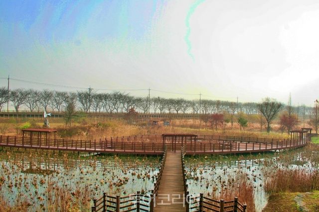 주암호생태습지