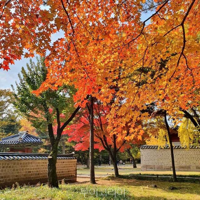 종묘 산책로 전경