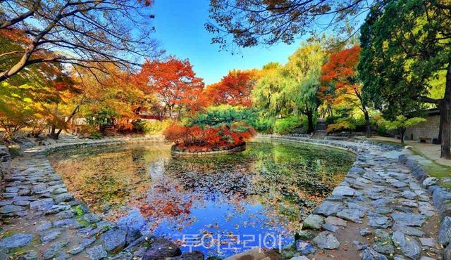 덕수궁 연못 전경