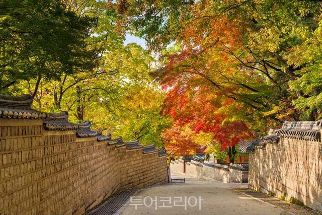 창덕궁 후원 가는 길