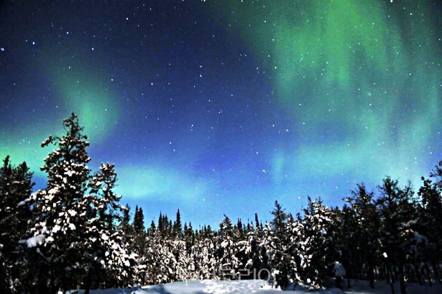 캐나다 옐로나이프는 오로라의 수도로 불린다 (사진. 김관수)