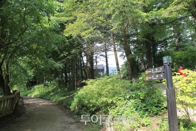 평창 월정사 전나무숲길/한국관광공사 제공