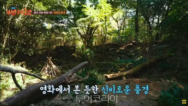 하고수동해수욕장 환상숲곶자왈 (돌아온 방구석1열) /사진-제주신화월드