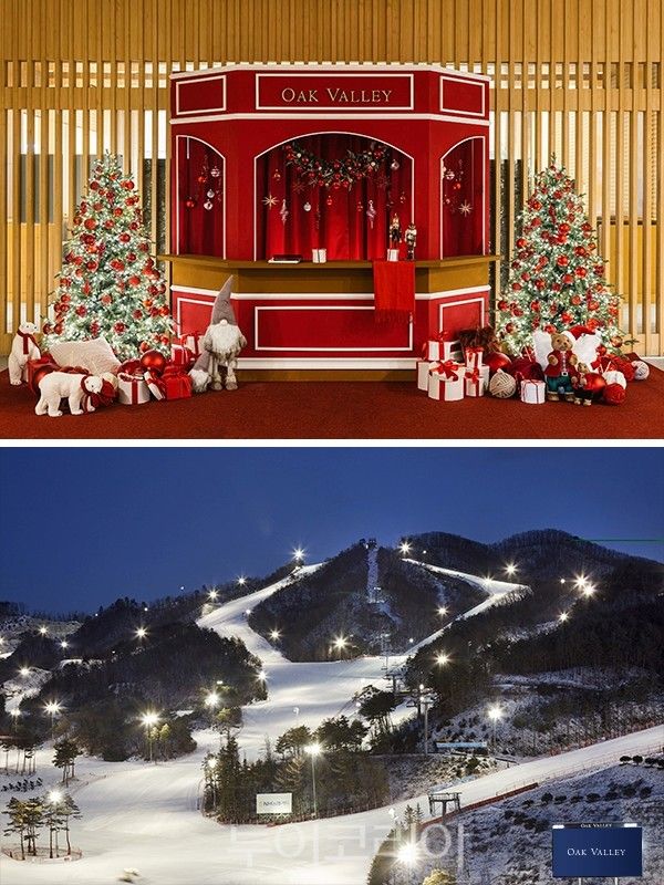 오크밸리 윈터 페스타