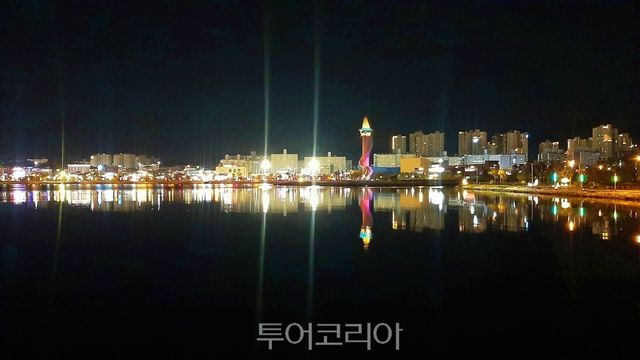 속초 청초호 야경