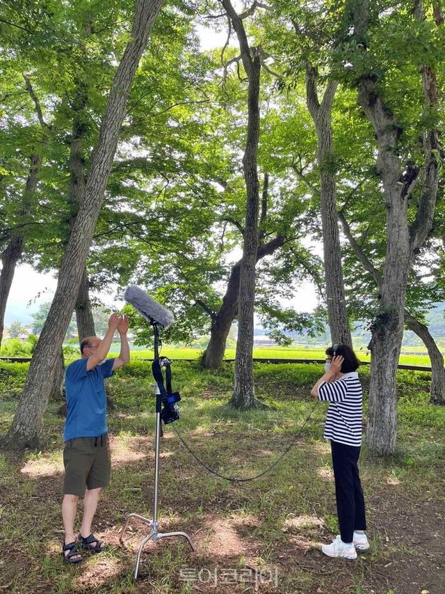 남원 운봉 서어나무 숲