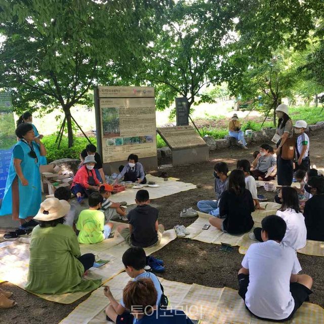 남원 운봉 서어나무 숲