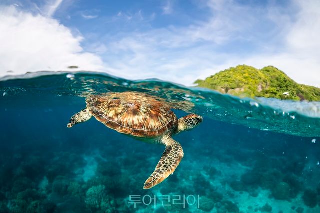 아포 섬 / 사진-필리핀관광부