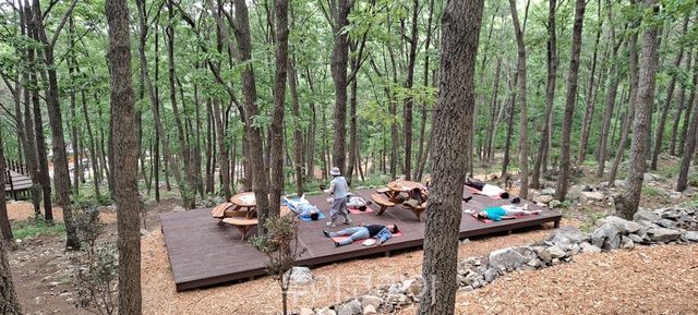 해남 흑석산 치유의 숲