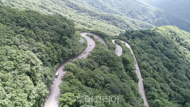 1000원 순환버스로 떠나는 지리산 정령치 여름여행