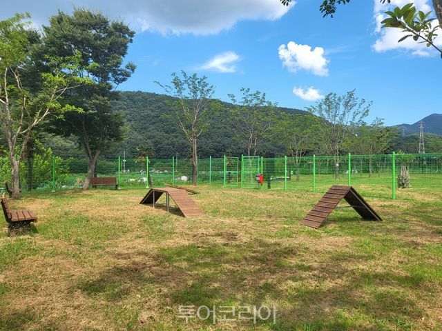 거제 반려견 놀이터