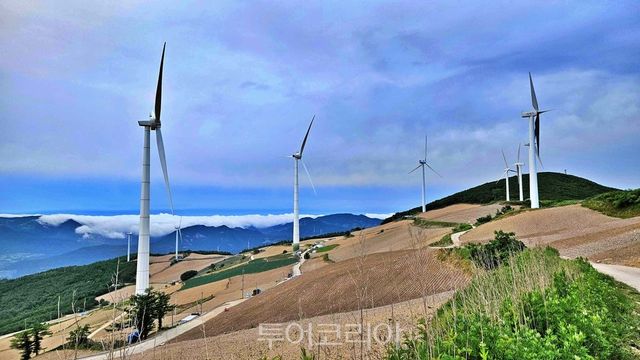 태백 바람의 언덕