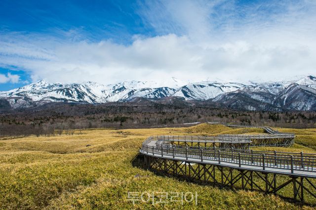 일본 홋카이도 시레토코’