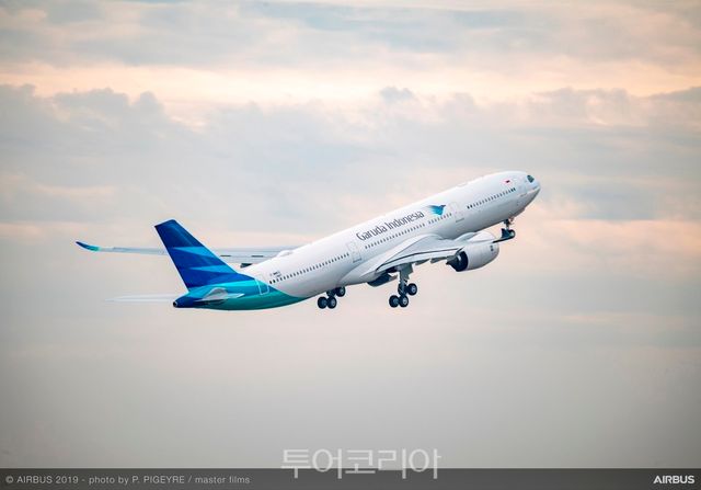 가루다인도네시아항공기