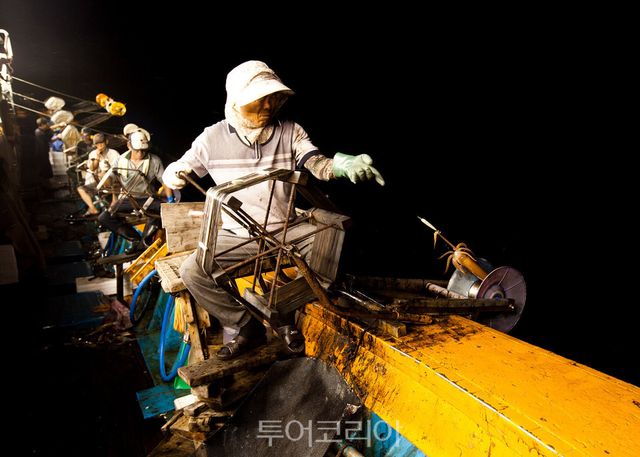 Sh수협은행은 근해채낚기 어업인 대상 긴급경영안정자금 신청기한을 오는 10월 13일로 변경한다. 사진은 오징어잡이 어업 현장의 모습.