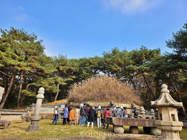 건원릉의 가을/사진-국가유산청