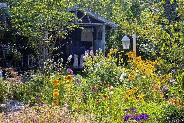 경북 경주 야생화일기／사진－산림청