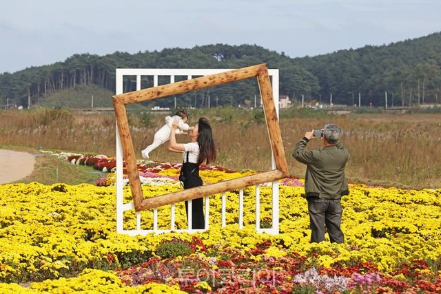 강원도 양양 남대천 가을산책