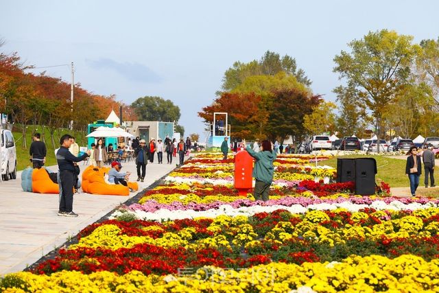 강원도 양양 남대천 가을산책