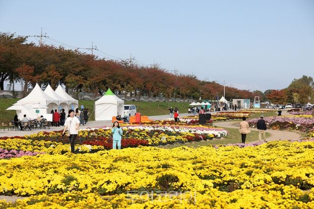 강원도 양양 남대천 가을산책