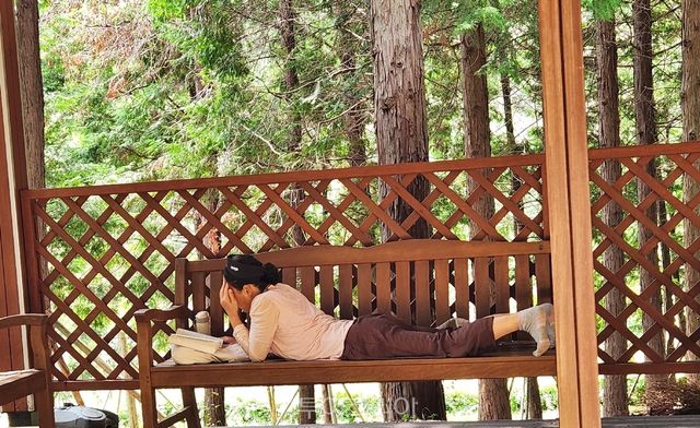 팔영산 편백 치유의숲