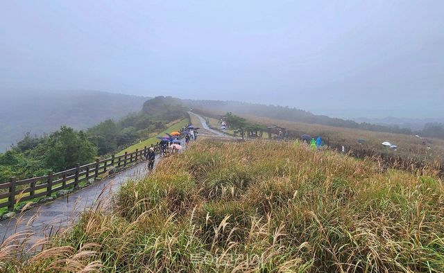 산굼부리의 가을​