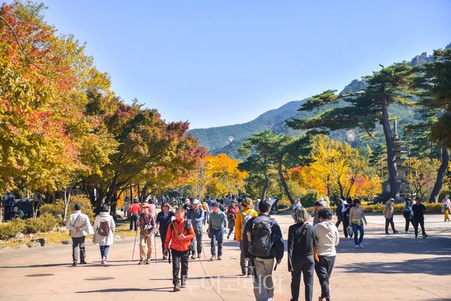 설악산 단풍 관광객/사진=속초시